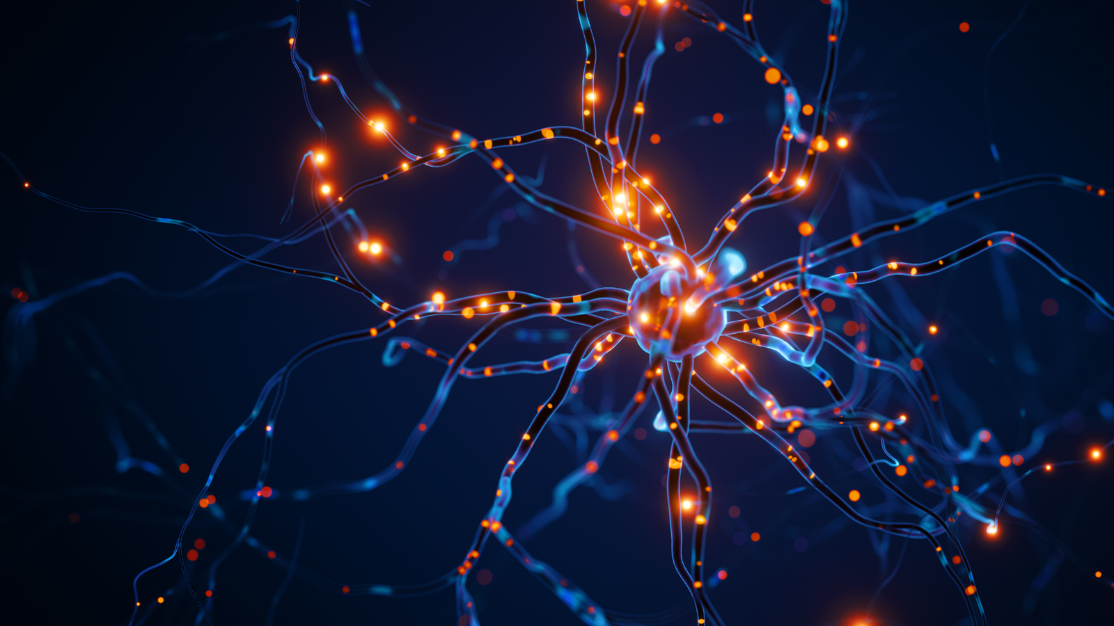 You Can Only Connect the Dots Looking Backward. But the Dots Determine What You’ll See Next.